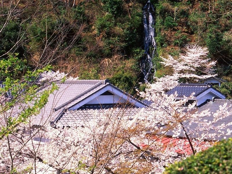 Motoyu Ryokan Atsugi Exteriör bild