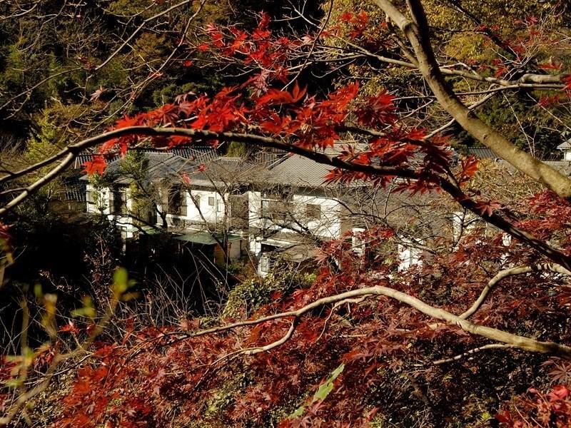 Motoyu Ryokan Atsugi Exteriör bild