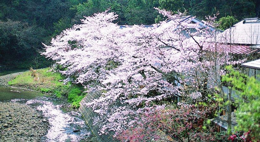 Motoyu Ryokan Atsugi Exteriör bild
